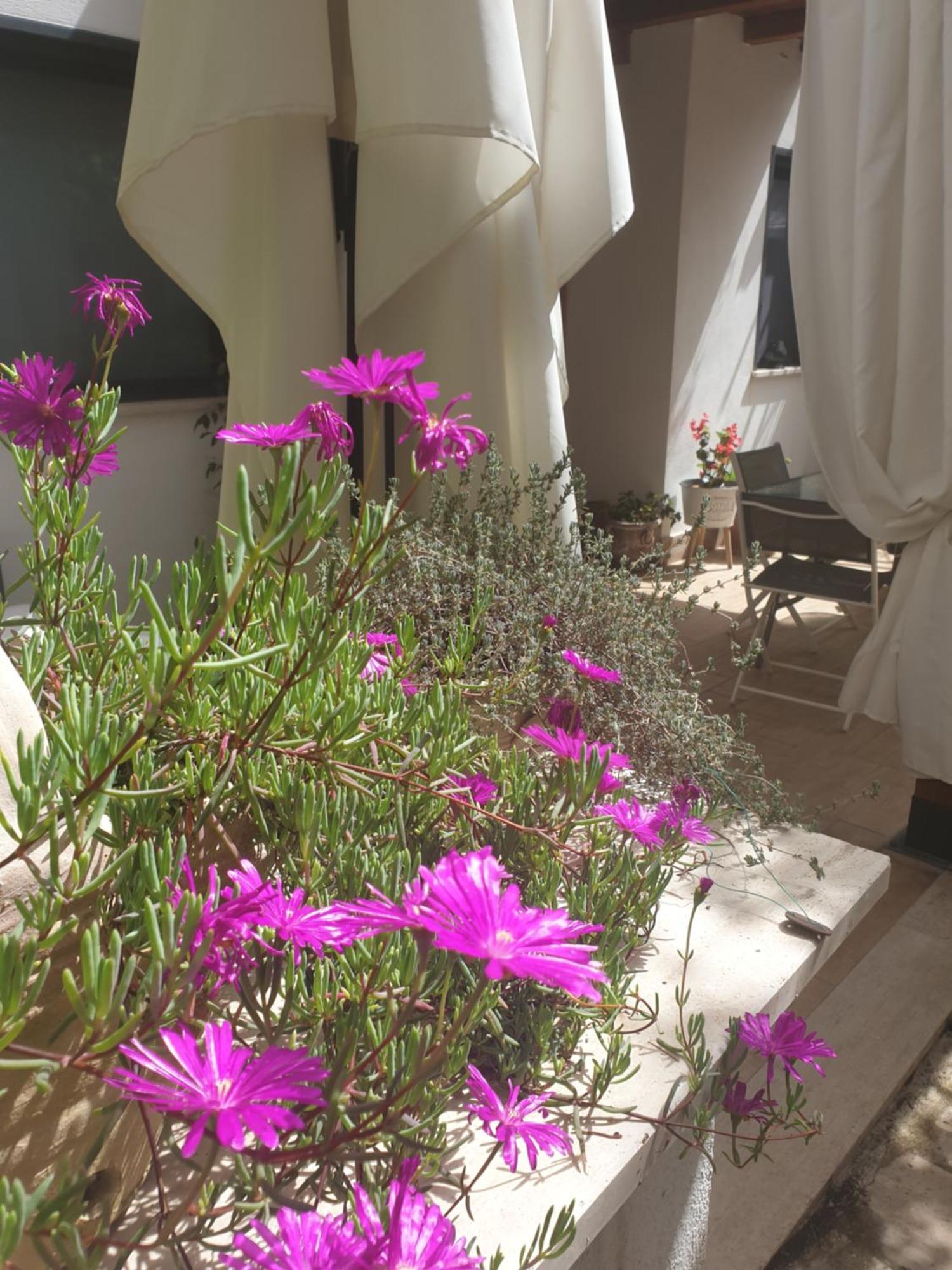 Hotel Il Giardinetto Di Dilyana Monterosi Esterno foto